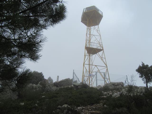Torre Forestal