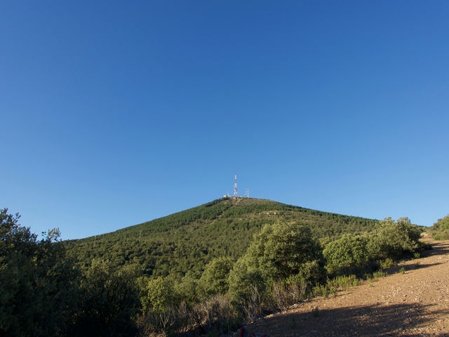 Cerro San Ginés