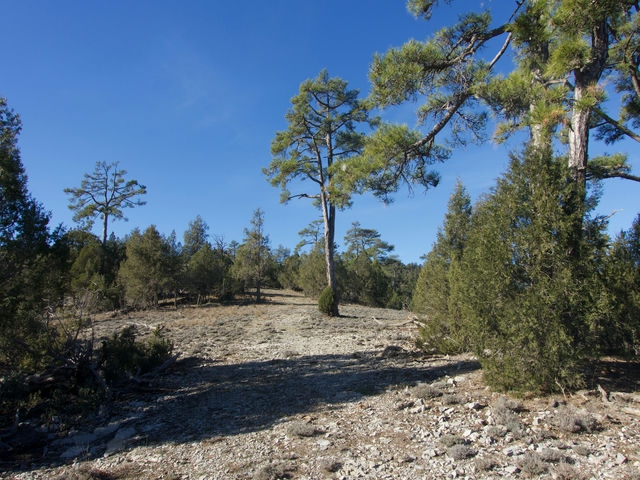 Camino de las Umbrías