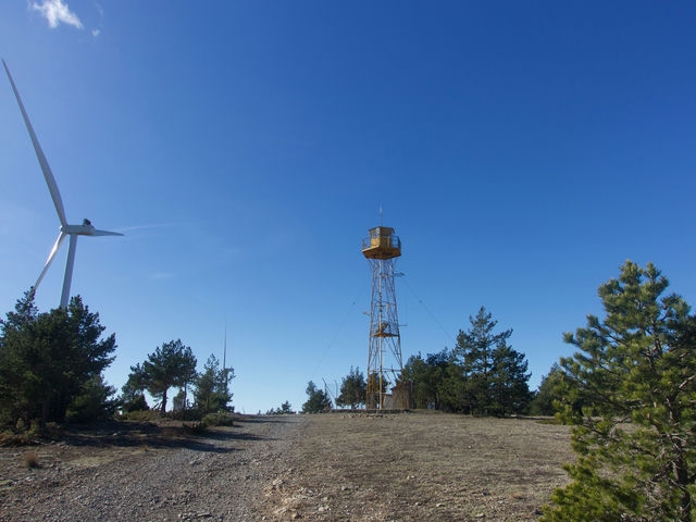 Torre Forestal