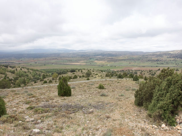 Enlace de Caminos