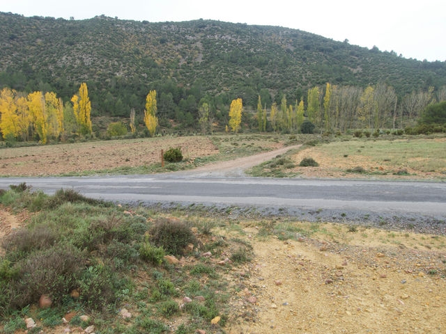 Cruzamos Carretera